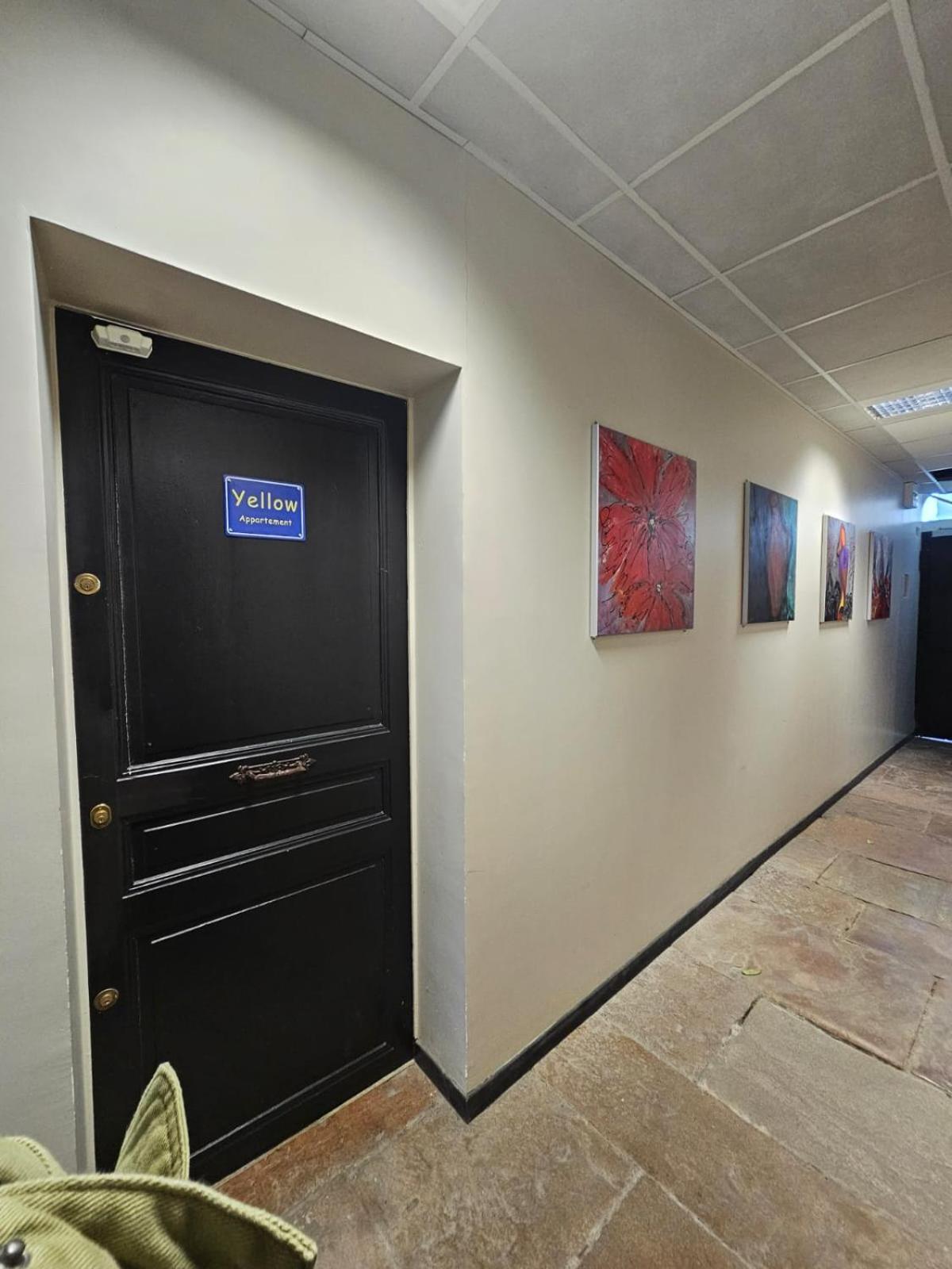 Rez De Chaussee Appartement A Tournus - Yellow المظهر الخارجي الصورة